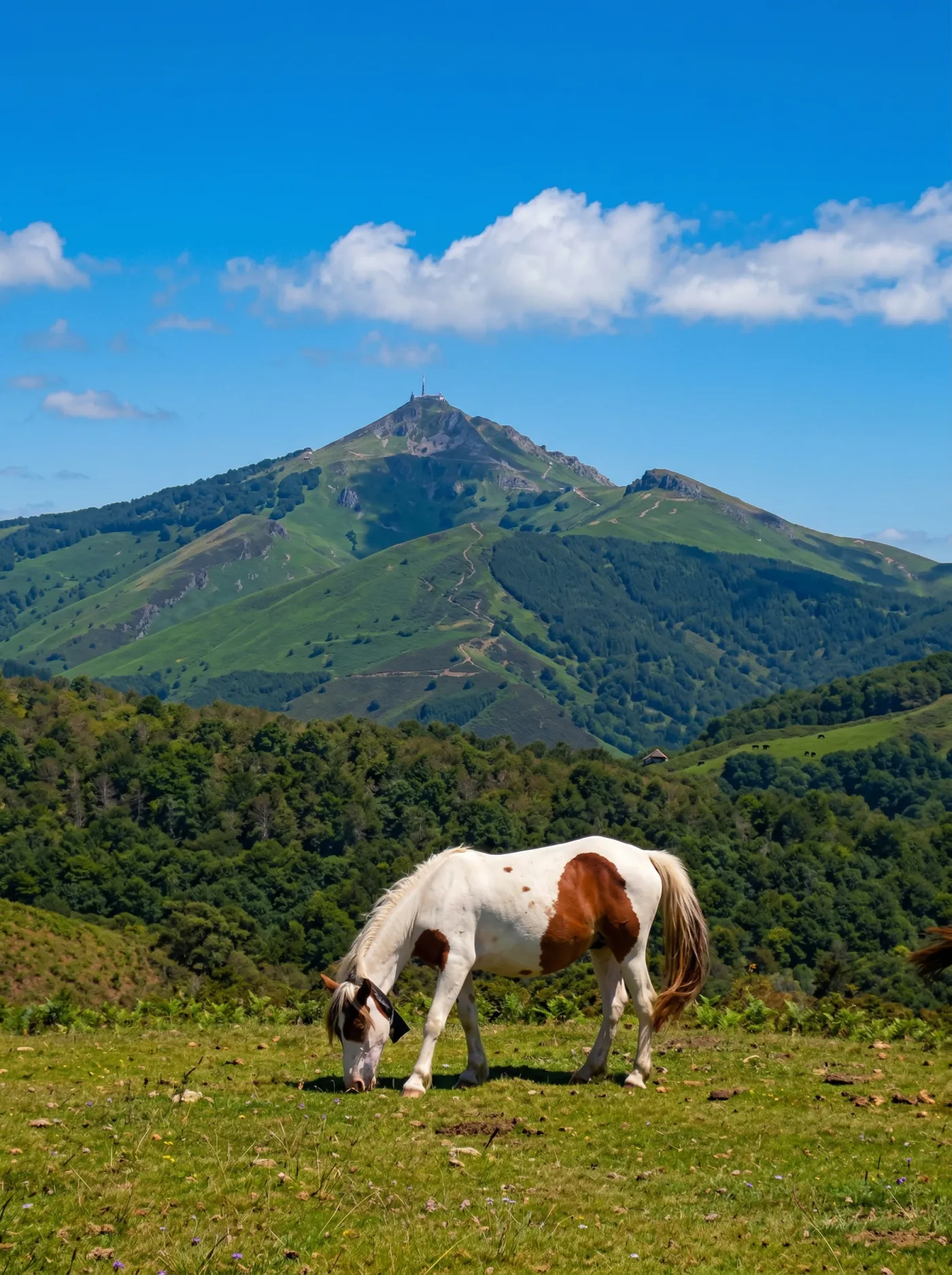 Pays Basque - Saint-Jean-de-Luz 4