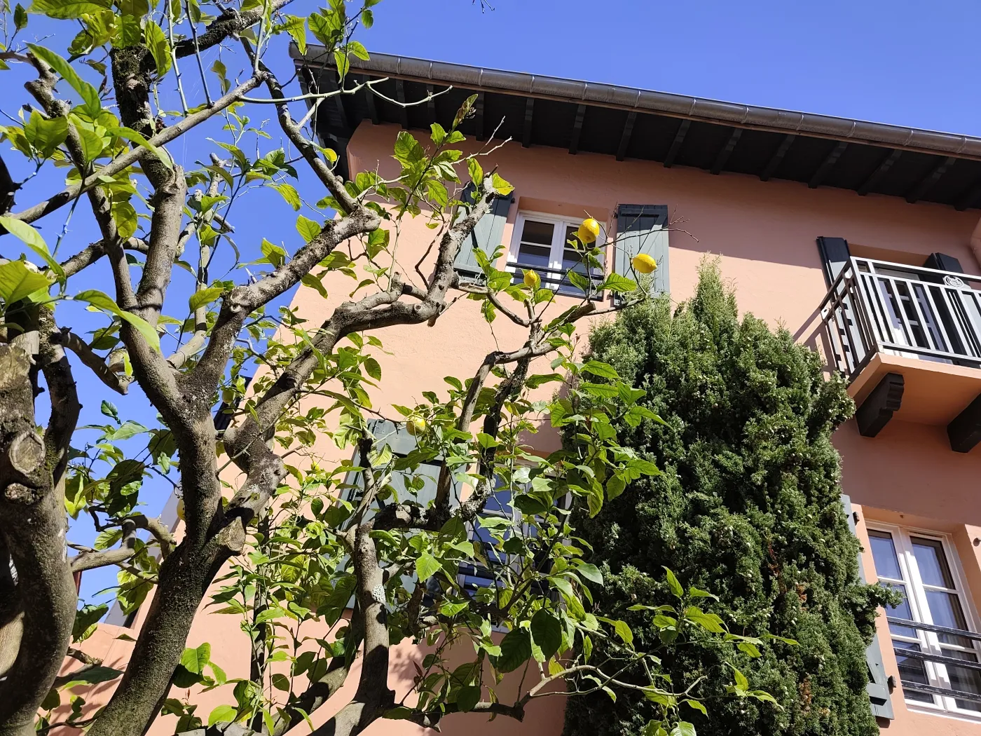 Hôtel Maria Christina 5